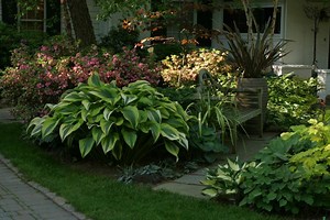 How to Plant and Grow Gorgeous, Shade-Loving Hosta Plants
