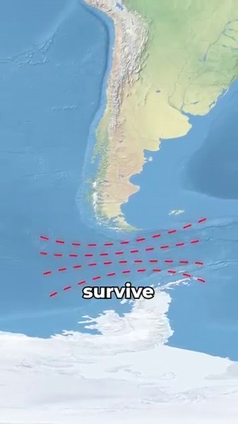 Drake Passage: The Ocean’s Deadliest Route Explained 🌊 #shorts