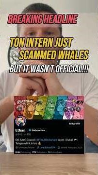 TON Intern Scams Investors with Fake Meme Coin