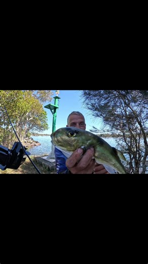 18K views · 207 reactions | Fishing really is a mystery bag. | Luke Hunter | Facebook