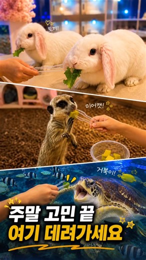 주말 고민 끝! 2시간 순삭 주말 여기 데려가세요
