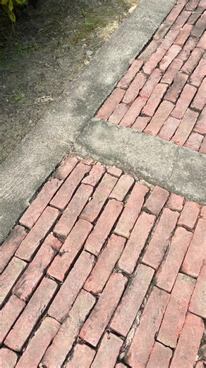 Nepali Logging: A Deep Dive into Traditional Practices