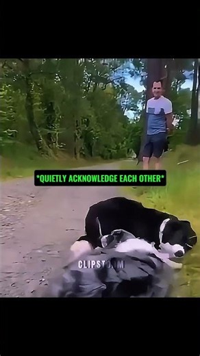 This Is How Respectful Dogs Say Hello 🐕🤝🐕