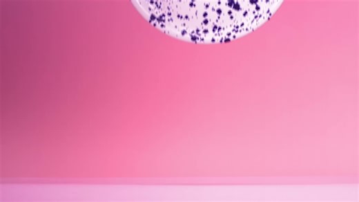 Pottery Plate Shattering in Slow Motion - Free Stock Video