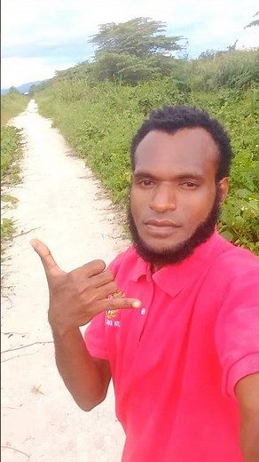#lagudezinepng #dezinesongpng #seanrii