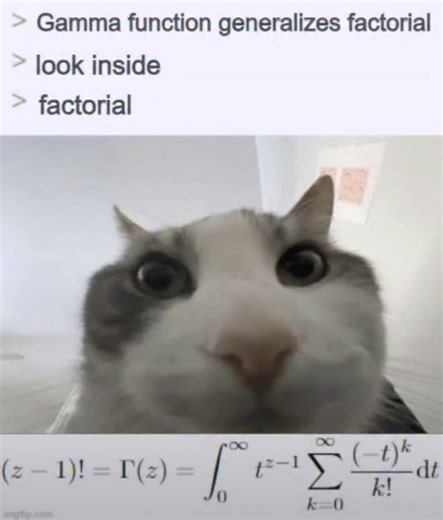 𝙌𝙪𝙖𝙣𝙩𝙪𝙢𝙌𝙪𝙚𝙨𝙩𝙚𝙧𝙧 • Powered by Atoms and Ambition | POV: You just wanted to find the factorial of 0.5. 💀 We’ve all been there—you’re cruising through Calculus, feeling good, and then the... | Instagram