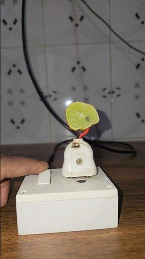What Happens When You Connect a Lemon to Electricity?