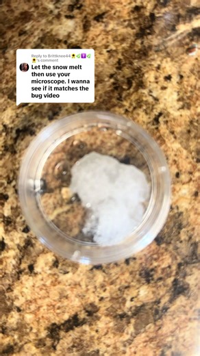 Replying to @Brittknee44🌻🌿✝️🌿🌻 #microscope #snow #winter #science | snow under a microscope