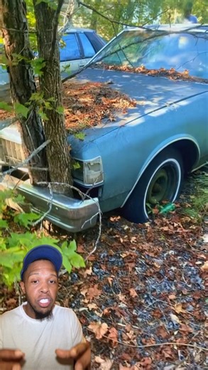 13K views · 177 reactions | Chevrolet caprice classic equipped with a ls swap 5. | Michael KarenAndsonsshow Moragne | Facebook