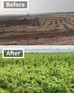 1K reactions · 360 shares | He Never Expected It To Go Viral... | 8 Billion Trees | Facebook