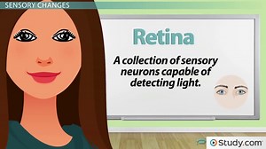 Paranoia & Relationships with Sensory Changes