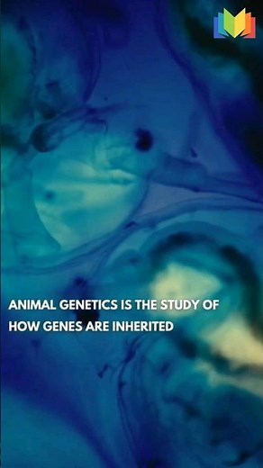 Animal Genetics!