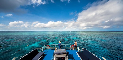 All inclusive Reef day tour