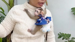 16K views · 529 reactions | Baby Jelly Cling Mom Shirt To Back Yard Checking Plant | Monkey Daily | Facebook