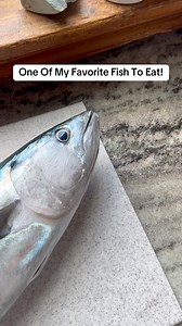 95K views · 912 reactions | Bonito make great table fare! Not to be confused with false albacore #catchandcook #fishing #tuna #bonito #fishinglife | Fish RI | Facebook