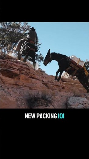Riding And Packing MULES In Rough Country!