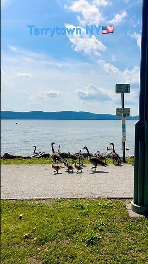 Exploring Tarrytown New York🏙️🇺🇸#nyc