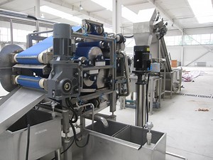 [Hot Item] Pineapple Juice Production Line /Pineapple Processing Machine