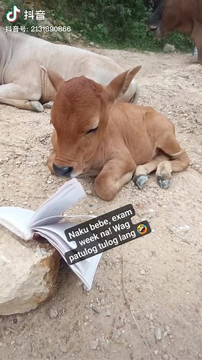 Project Natural Farming on Reels