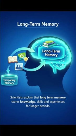 Short-Term vs Long-Term Memory | How Your Brain Stores Information (Simple)