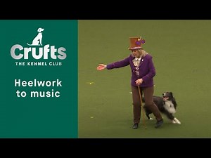 Heelwork to Music Competition - Part Three| Crufts 2023
