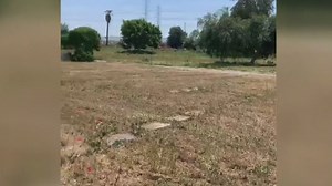 Compton woman tries to save abandoned cemetery
