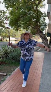 33K views · 3.8K reactions | ¡Atención, amantes del hogar!  Hoy mi...