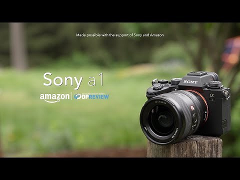 Sony a1 overview