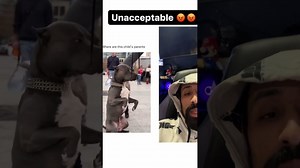 Kid shows unacceptable behavior toward a family dog