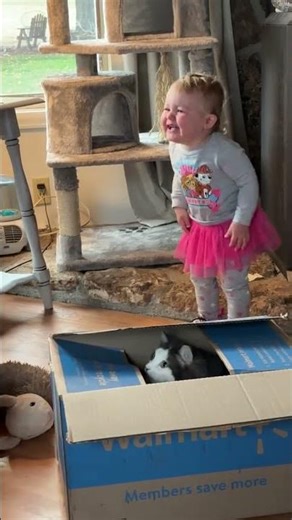 Biggest belly laughs 😃 momlife heart full ❣️ #momlifeheartfull