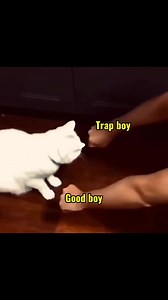 con bạn thân và “tím trai” íu đúi của ả 😹 | Khi Nào Hết Zô Tri Đổi Tên