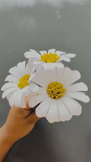 Diy Paper Daisy Flower 💐 Paper craft #diy #papercraft #paperflower #fbreelsfypシ゚ #daisyflower | Sarmin's CRAFT