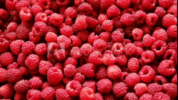 Sweet raspberry spinning background. Collection of fresh raspberries. Red ripe berry close-up. Juicy berries. Vegetarian, vegan and raw food. Organic product. Ethical consumption. From farm to table