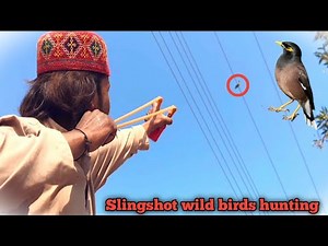 Slingshot wild birds hunting!