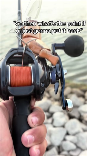 Murray Cod Fishing: You Don't Seem to Understand