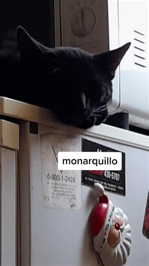 Videos de computadora de carton (@la_computadora_de_carton) con “sonido original - computadora de carton”