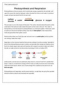 Photosynthesis and Respiration