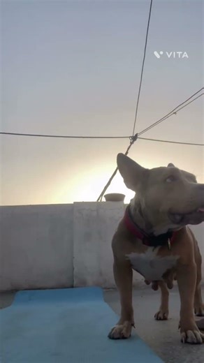 Hawa hawa || morning routine || first day #utubeshorts #goodmorning #morning #sunrise