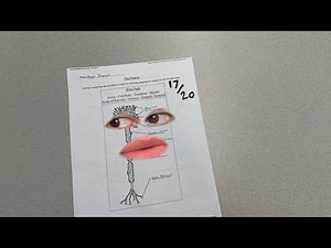 Life of A School Test