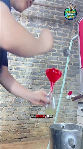 How Camphor Oil Is Made from Wood