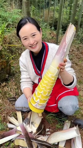 Fresh bamboo shoots harvest by rural farmer | Rural farmers farming life #bamboo #harvest
