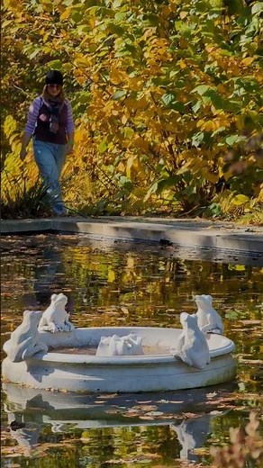 Colors of Autumn 🍂