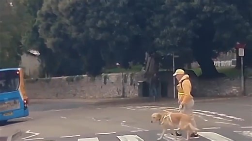Further to previous post. Have been sent another clip of the visually impaired man crossing. Please note, the 2 clips are stitched together hence the slight difference in zoom. Nothing else has been edited. Just unfortunately came as 2 clips rather than one continuous. | Spotted Torquay