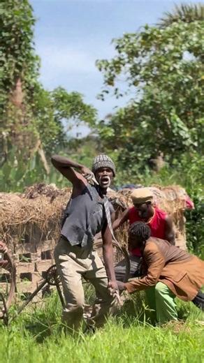 Madagascar Move it move it #happiness #shorts #shorts