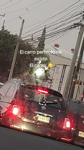 El carro perfecto. #viral #michistiktok #cat #gat #carr #carro