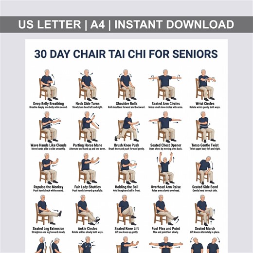 30 Day Chair Tai Chi for Seniors Printable PDF, Seated Balance and Mobility Exercise Plan for Daily Home Routine,digital Download - Etsy