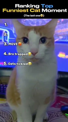 gets tickled so hard🤣