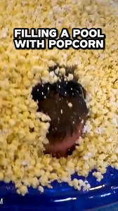 11K views · 53 reactions | WE FILLED UP A POOL WITH ONLY POPCORN! #diyprojects #trendingvideo #learnontiktok | The King of Random | Facebook