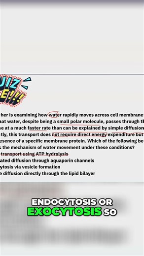 Quiz Hack: Instantly Eliminate Wrong Answers & Ace the Quiz! #shorts