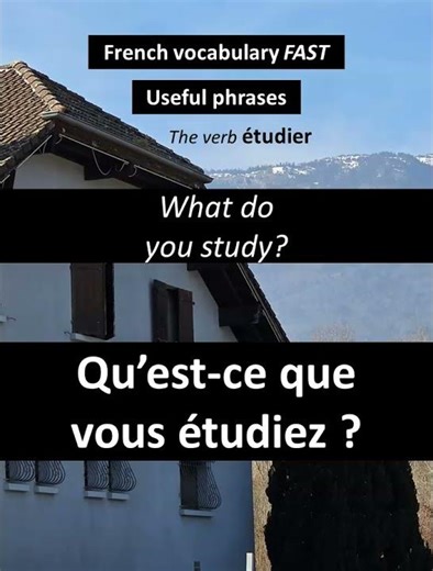 What do you study? / Qu'est-ce que vous... #frenchforbeginner #frenchpronunciation